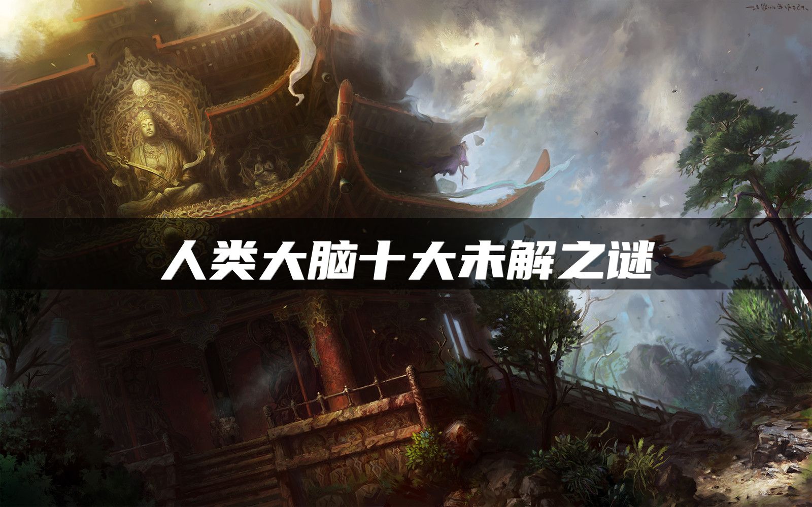 人类大脑十大未解之谜
