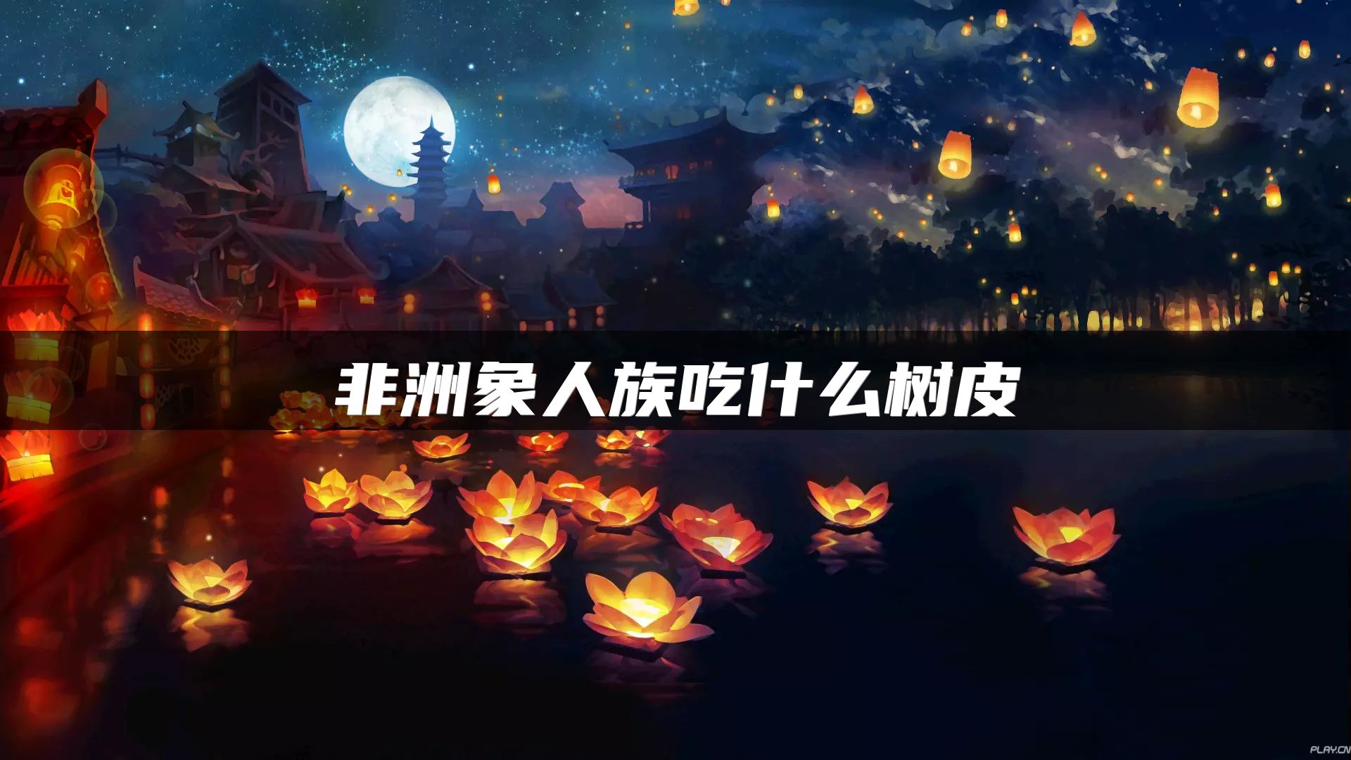 非洲象人族吃什么树皮