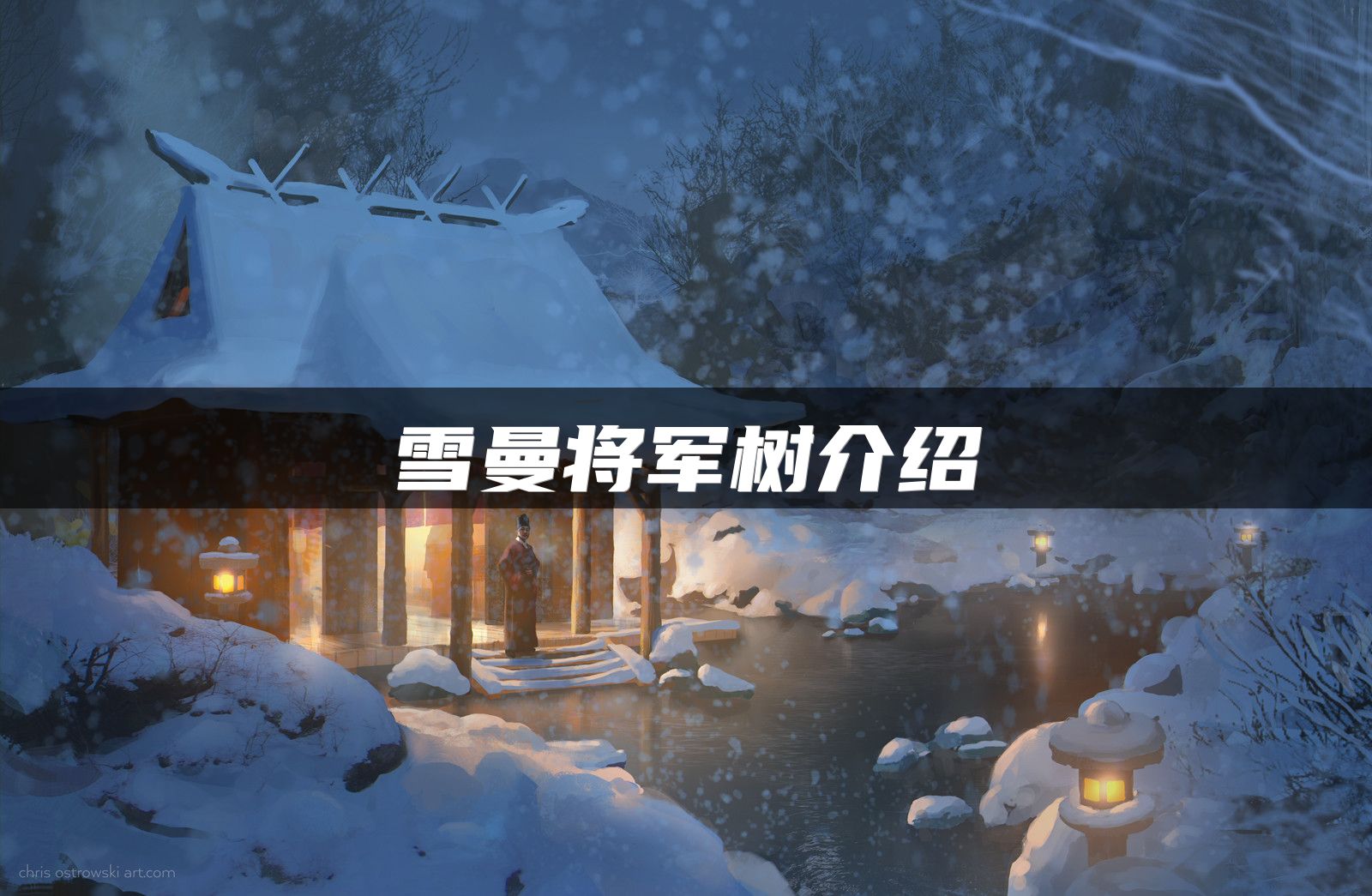 雪曼将军树介绍