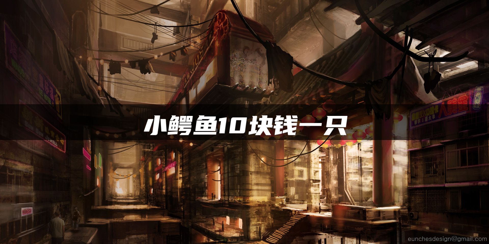 小鳄鱼10块钱一只