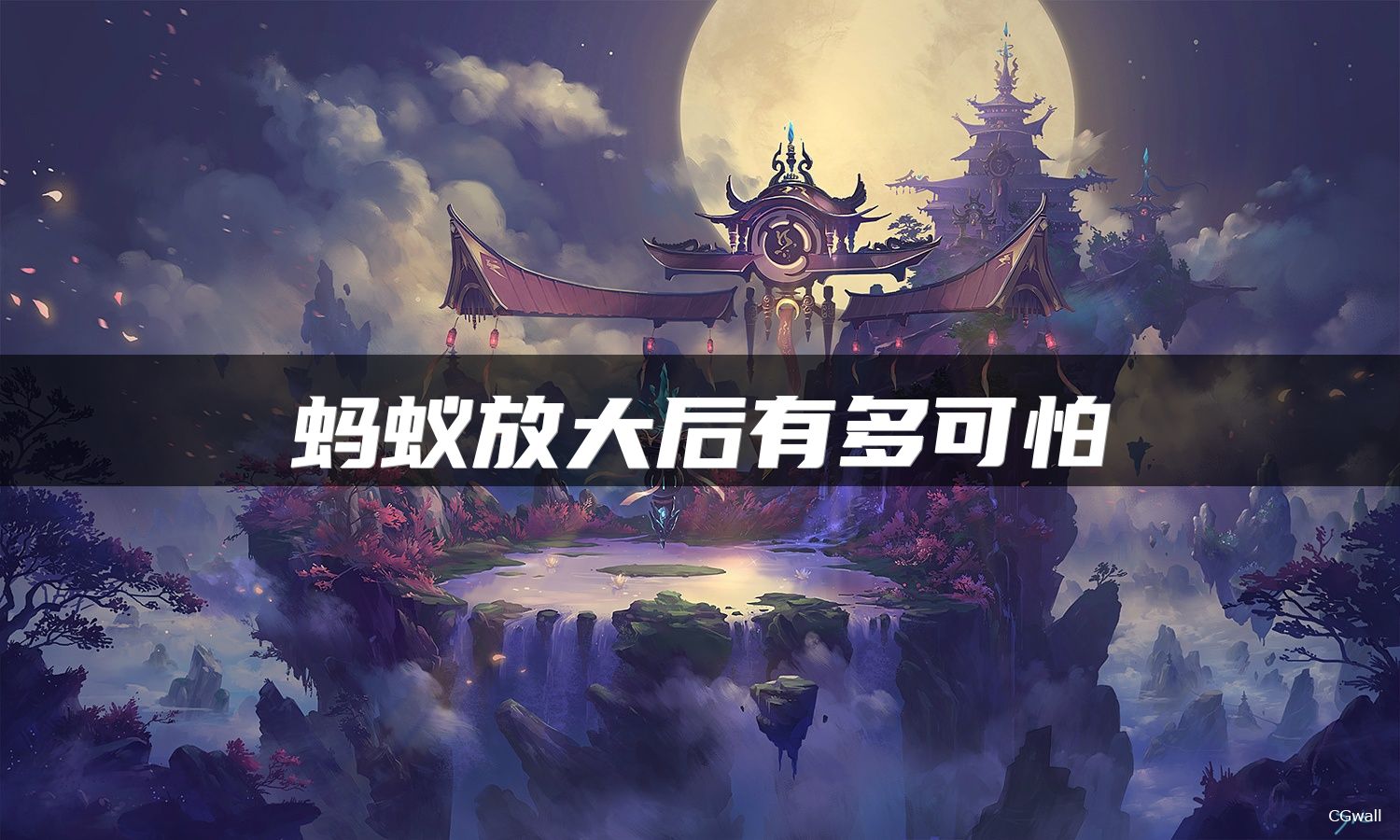 蚂蚁放大后有多可怕