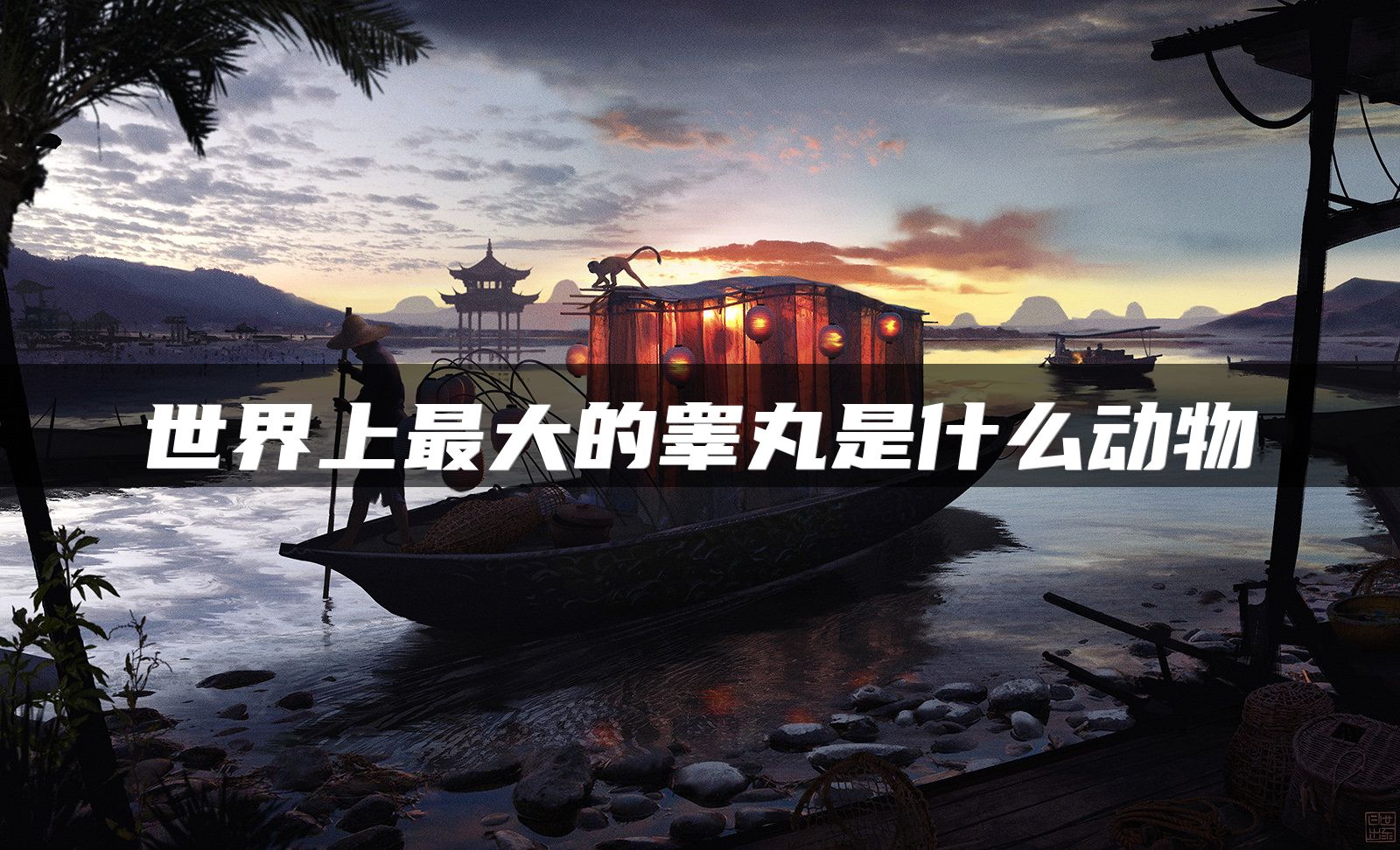 世界上最大的睾丸是什么动物