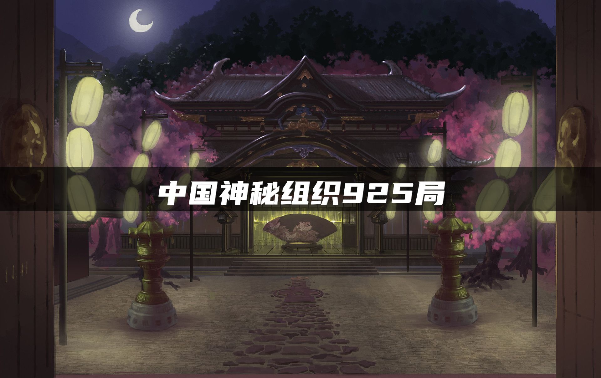 中国神秘组织925局